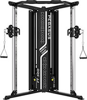 pegasus functional trainer ft 300 pegasus l 5422 photo