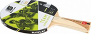 raketa ping pong sunflex team hong kong photo raketa ping pong sunflex team hong kong photo