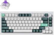pliktrologio keychron q1 he q1h p1 qmk white wireless custom hall effect purple switch 75 us photo pliktrologio keychron q1 he q1h p1 qmk white wireless custom hall effect purple switch 75 us photo