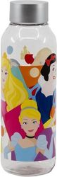 Stor: Disney Princess: Bright & Bold - Ecozen Hydro Bottle Disney (660ml) (51213)