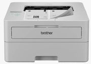 ektypotis brother hl b2180dw bw laser photo