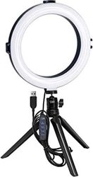 white shark ring led light moonlight 20cm rl 08 photo