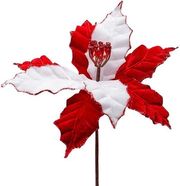 eurolamp alexandrino candy 27x20cm 600 47629 photo eurolamp alexandrino candy 27x20cm 600 47629 photo