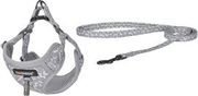 dog set dogness harness and leash light grey photo