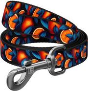 nylon dog leash oranges 122 cm waudog photo