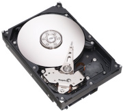 seagate barracuda 3400632ns 400gb 16mb sata raid edition photo