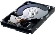 samsung hd103si ecogreen f2 1tb sata2 photo