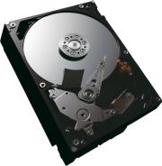 hdd toshiba hdwd105uzsva p300 500gb sata3 bulk photo