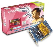 gigabyte geforce 6600 128mb pci e dvi tv out silent pipe retail photo
