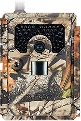 minox dtc 1200 wildlifecamera photo