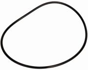 ewa marine o ring photo ewa marine o ring photo
