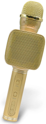 forever bms 400 microphone with bluetooth speaker gold photo