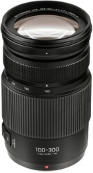panasonic lumix g vario 100 300mm f40 56 ii power ois photo