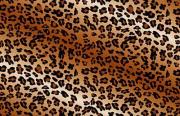 g cube a4 gsl 17b lux leopard brown trim to fit notebook skin 17  photo