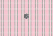 g cube a4 gsp 19p mad for plaid pink trim to fit notebook skin 17  photo
