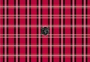 g cube a4 gsp 19r mad for plaid red trim to fit notebook skin 17  photo