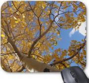 gembird mp v1c superior picture mouse pad tree photo