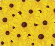 speedlinksl 6230 n04 pangea nature motif mousepads sunflowers photo