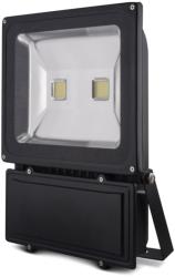 forever eco home line ip65 led fixture outdoor floodlight 100w cold white 6500k photo