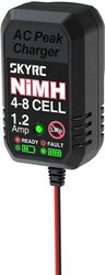 skyrc en18 nimh battery charger photo