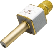 technaxx bt x31 musicman karaoke bluetooth microphone with stereo speaker gold white photo