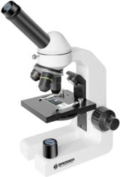 bresser biodiscover 20x 1280x microscope photo