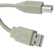 inline usb20 cable a to b 05m beige photo