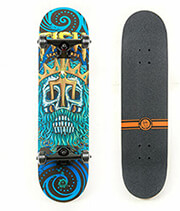 skateboard 31 poseidon fish canadian maple photo