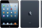 apple ipad mini 16gb wi fi md528 black slate photo