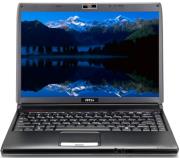 msi ex300 gr blue photo