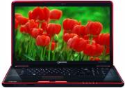 toshiba qosmio x500 13r photo