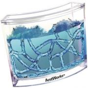 myrmigkodoyleies ant works photo