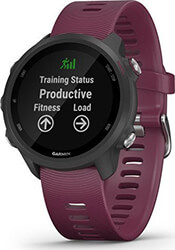 sportwatch garmin forerunner 245 merlot photo