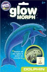 glow morph dolphin photo
