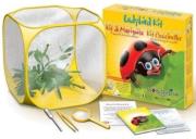 world alive ladybird kit photo