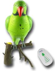 recordable parrot wireless doorbell photo