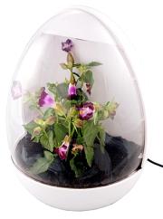 usb green house photo