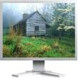 othoni eizo flexscan s2133 gy 213 ips lcd uxga grey photo othoni eizo flexscan s2133 gy 213 ips lcd uxga grey photo