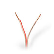 NEDIS SPEAKER CABLE 2 X 1.50MM 100M TRANSPARENT
