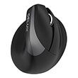 DELUX M618MINI BLACK WIRELESS RGB GAMING MOUSE