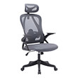 bormann bsf1835 karekla dieythyntiki trophy 58x64x120 130cm me anaklisi stirixi mesis gkri photo bormann bsf1835 karekla dieythyntiki trophy 58x64x120 130cm me anaklisi stirixi mesis gkri photo