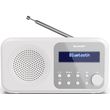 SHARP DIGITAL RADIO SNOW WHITE DR-P420