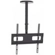 tv bracket focus mount ceiling mounted cms02 44 photo