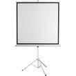 SBOX PROJECTOR SCREEN 96