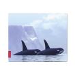 speedlink sl 6242 orca silk orca mousepad photo