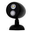 revled spot light with motion detector black photo