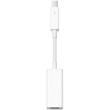 apple md464z thunderbolt to firewire adapter photo