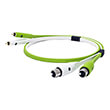oyaide d xfr class b 1m audio cable photo