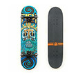 skateboard 31 poseidon fish canadian maple photo