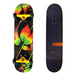 skateboard 31 fall fish northeast maple photo